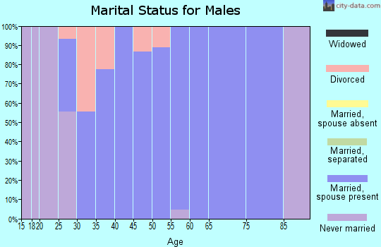 Zip code 24712 marital status for males