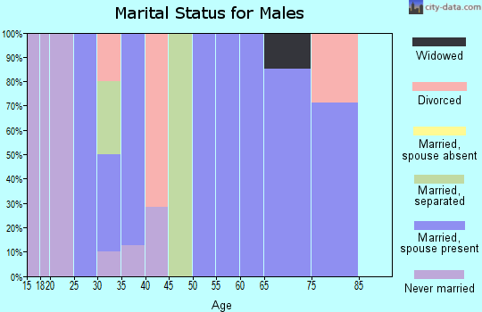 Zip code 24715 marital status for males