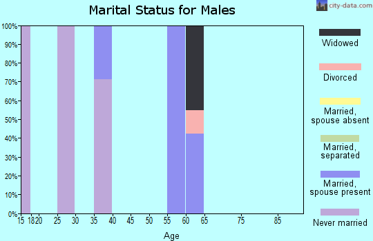 Zip code 24716 marital status for males
