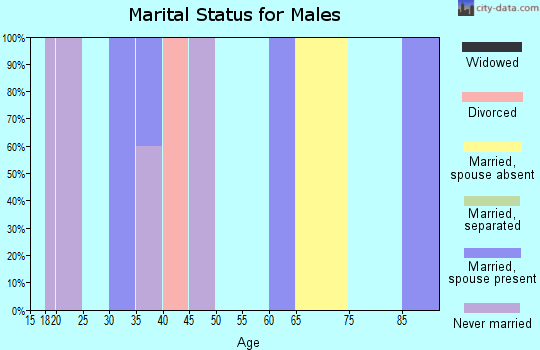 Zip code 24724 marital status for males