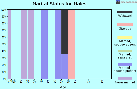 Zip code 24731 marital status for males