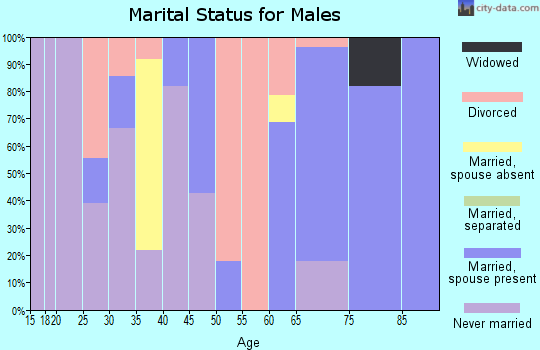 Zip code 24736 marital status for males