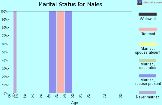 Zip code 24737 marital status for males