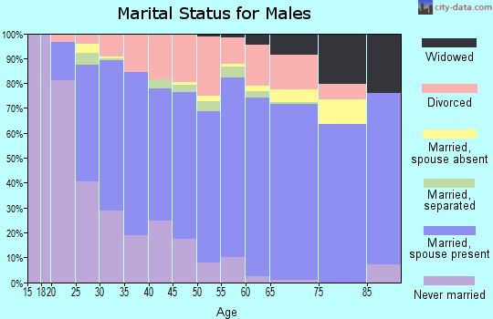 Zip code 24740 marital status for males