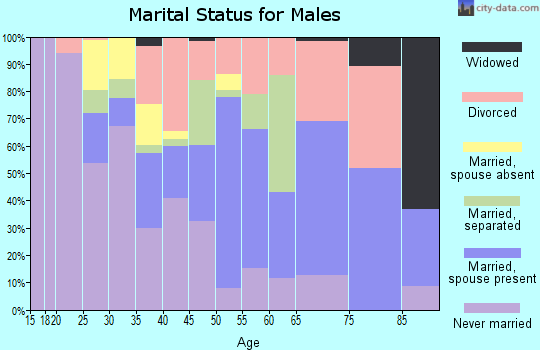 Zip code 24801 marital status for males