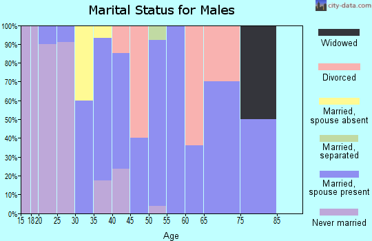 Zip code 24808 marital status for males