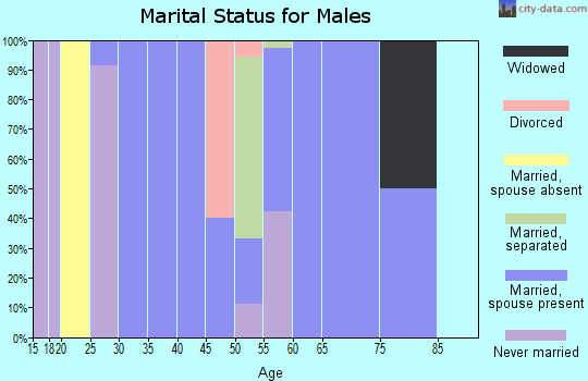 Zip code 24817 marital status for males