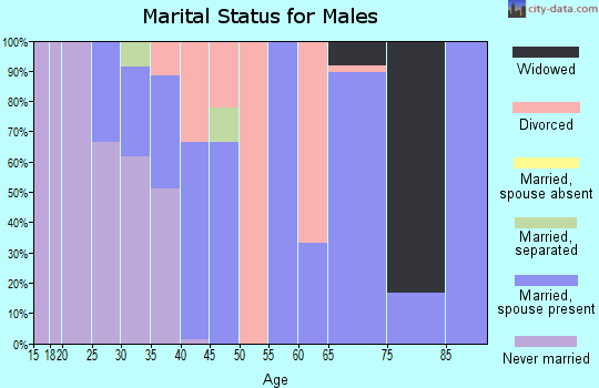 Zip code 24828 marital status for males