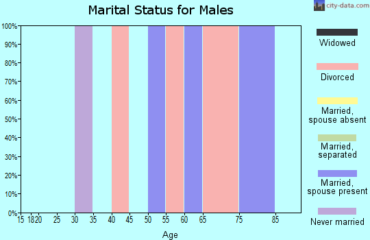 Zip code 24831 marital status for males