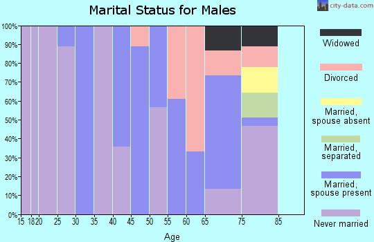 Zip code 24836 marital status for males
