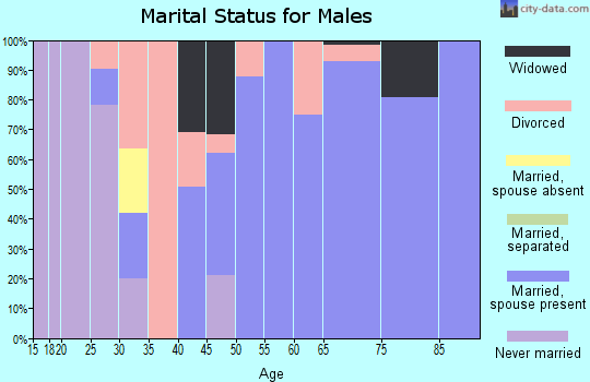 Zip code 24844 marital status for males