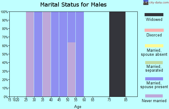 Zip code 24849 marital status for males