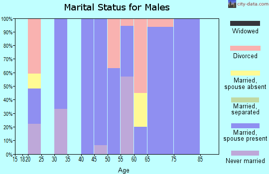 Zip code 24853 marital status for males