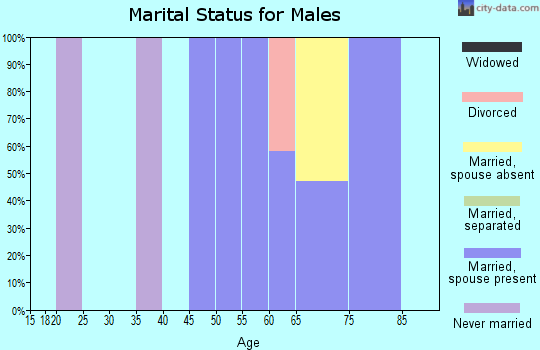 Zip code 24860 marital status for males