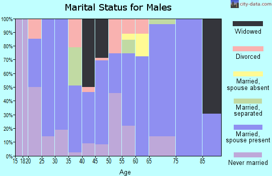 Zip code 24868 marital status