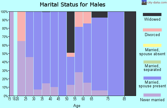 Zip code 24874 marital status for males