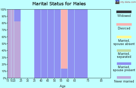 Zip code 24879 marital status for males