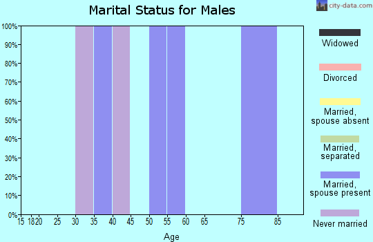 Zip code 24880 marital status for males