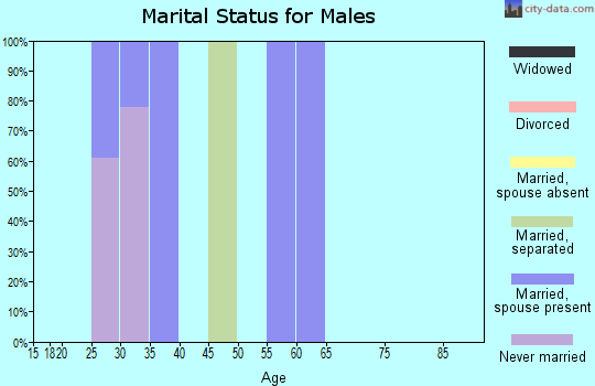 Zip code 24884 marital status for males