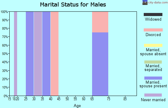 Zip code 24894 marital status for males