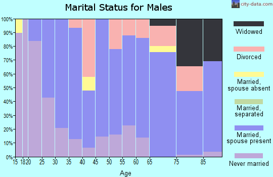 Zip code 24901 marital status for males