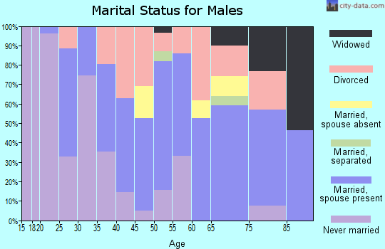 Zip code 24910 marital status for males