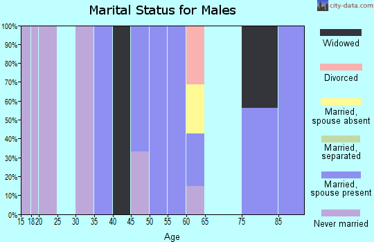 Zip code 24916 marital status for males