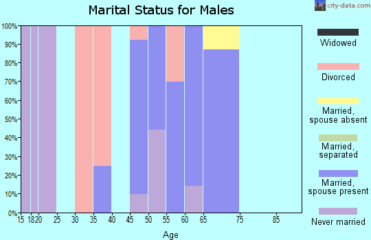 Zip code 24918 marital status for males
