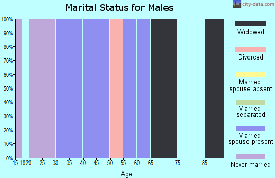 Zip code 24925 marital status for males