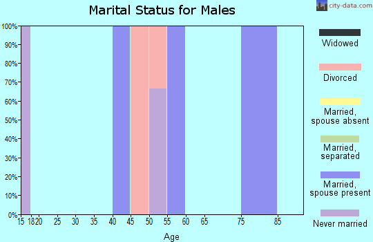 Zip code 24927 marital status for males