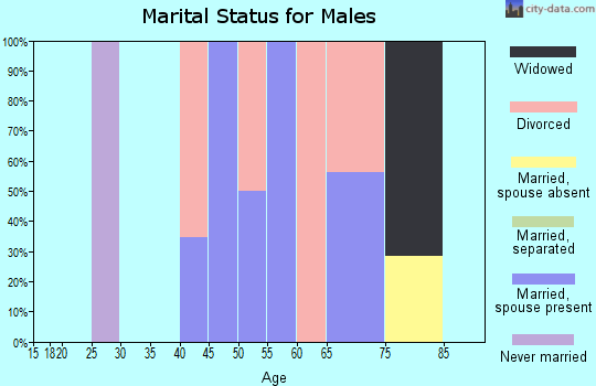 Zip code 24934 marital status for males