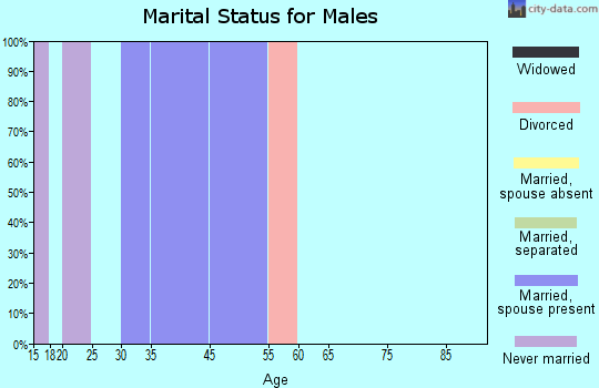 Zip code 24936 marital status for males