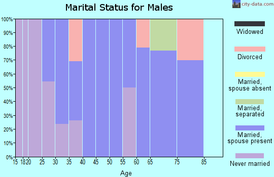 Zip code 24938 marital status for males