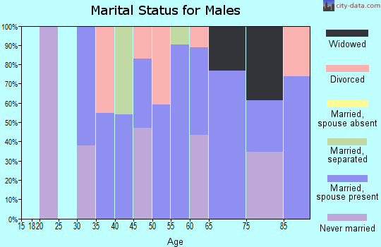 Zip code 24941 marital status for males