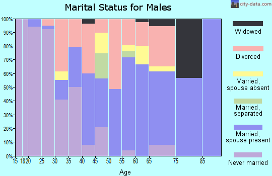 Zip code 24946 marital status for males