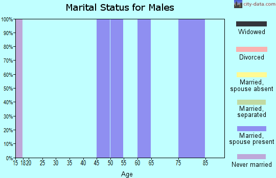 Zip code 24957 marital status for males