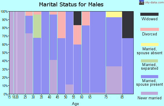 Zip code 24963 marital status for males