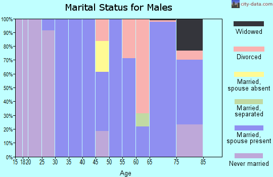 Zip code 24966 marital status for males