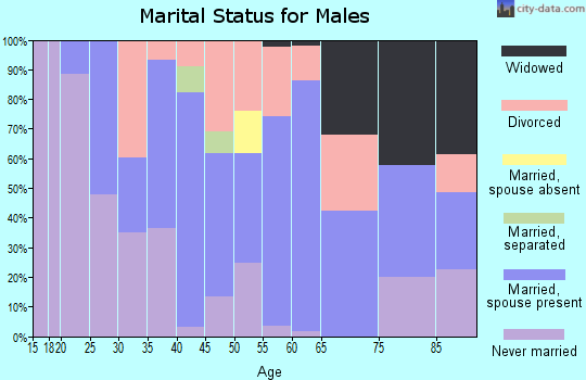Zip code 24970 marital status for males