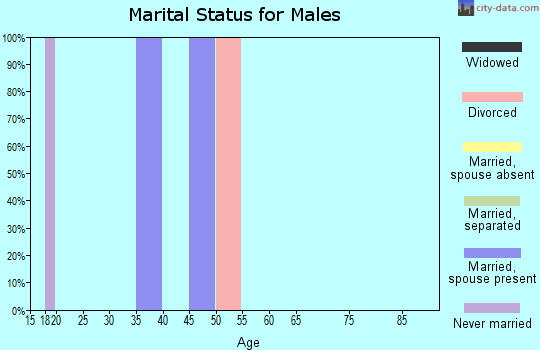 Zip code 24974 marital status for males