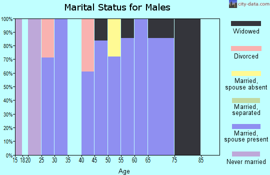 Zip code 24976 marital status for males