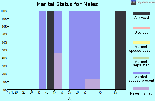 Zip code 24977 marital status for males