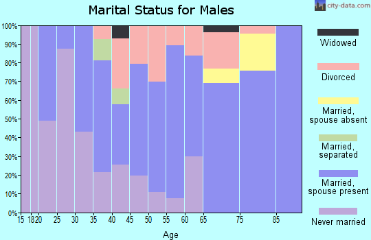 Zip code 24983 marital status for males