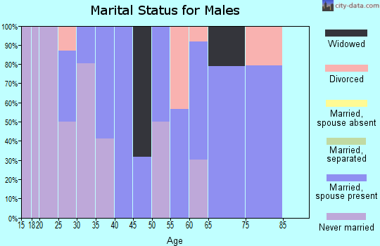 Zip code 25003 marital status for males