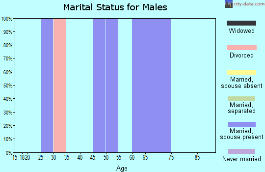 Zip code 25005 marital status for males