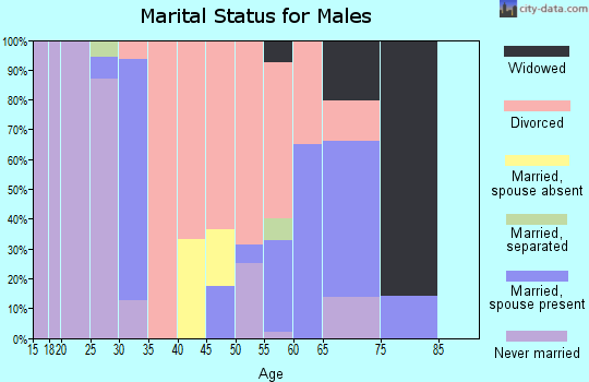 Zip code 25011 marital status for males
