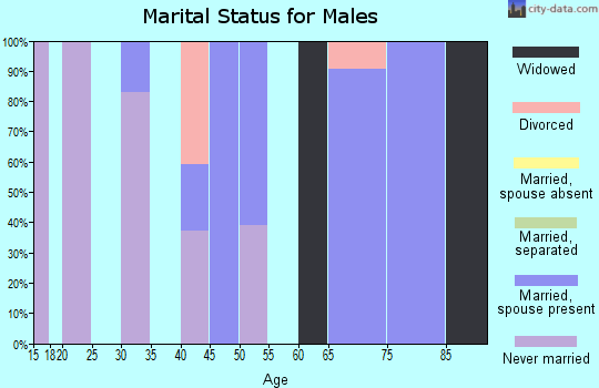 Zip code 25019 marital status for males