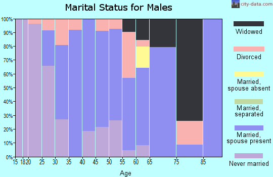 Zip code 25033 marital status for males