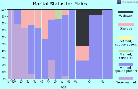 Zip code 25039 marital status for males