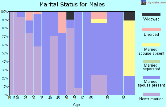Zip code 25043 marital status for males